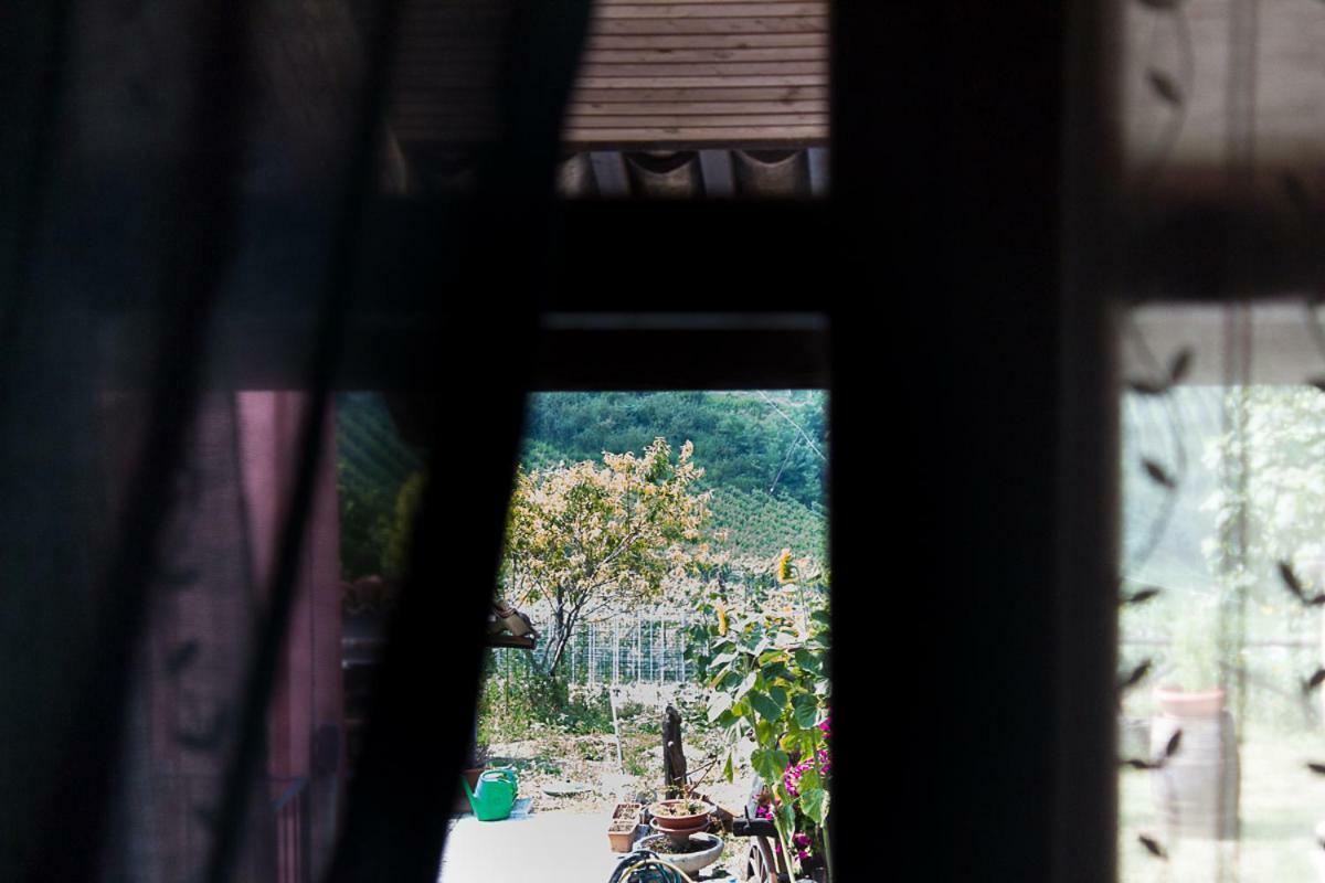 Agriturismo La Ca Veja Monforte dʼAlba Zewnętrze zdjęcie