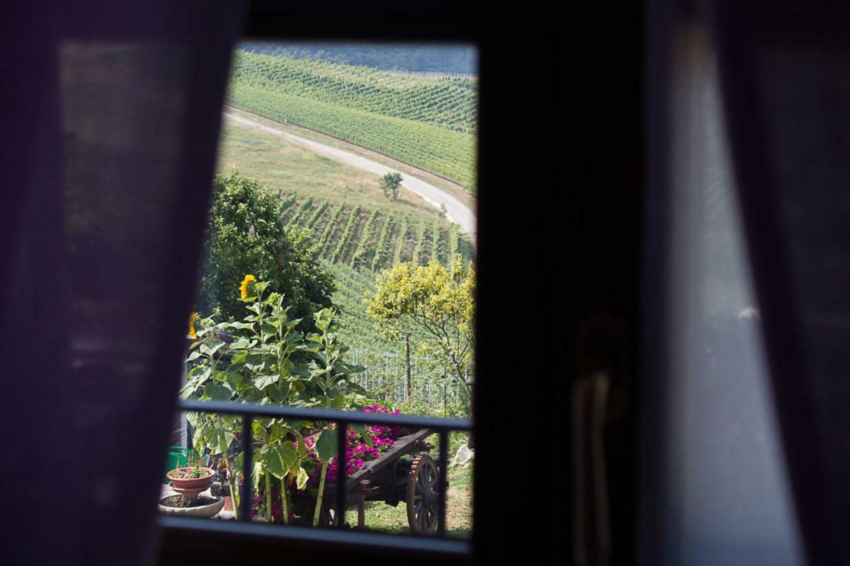 Agriturismo La Ca Veja Monforte dʼAlba Zewnętrze zdjęcie